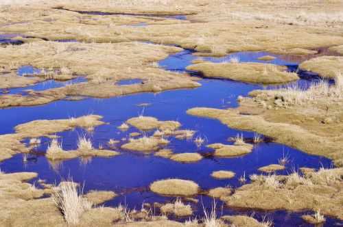 TREKKING NEL DESERTO DI ATACAMA 2015